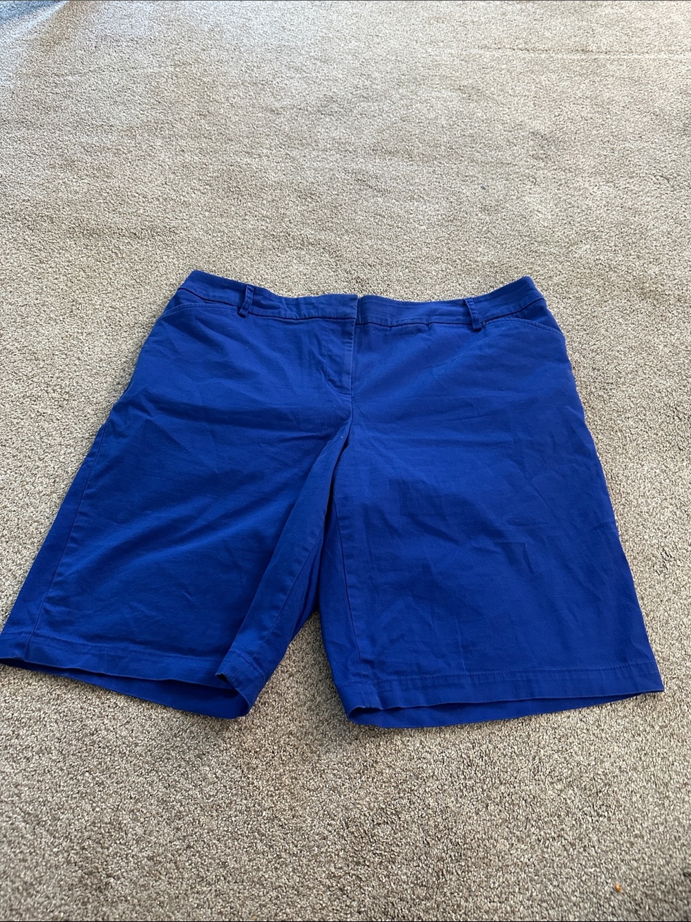 Charter club Women’s blazing Blue Cotton Bermuda Shorts size 14